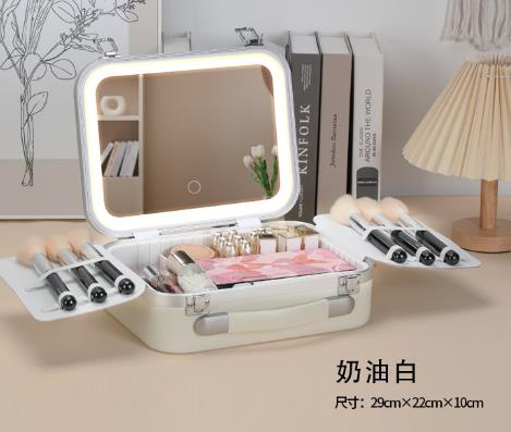 Large-capacity makeup artist cosmetics storage box with LED light and mirror